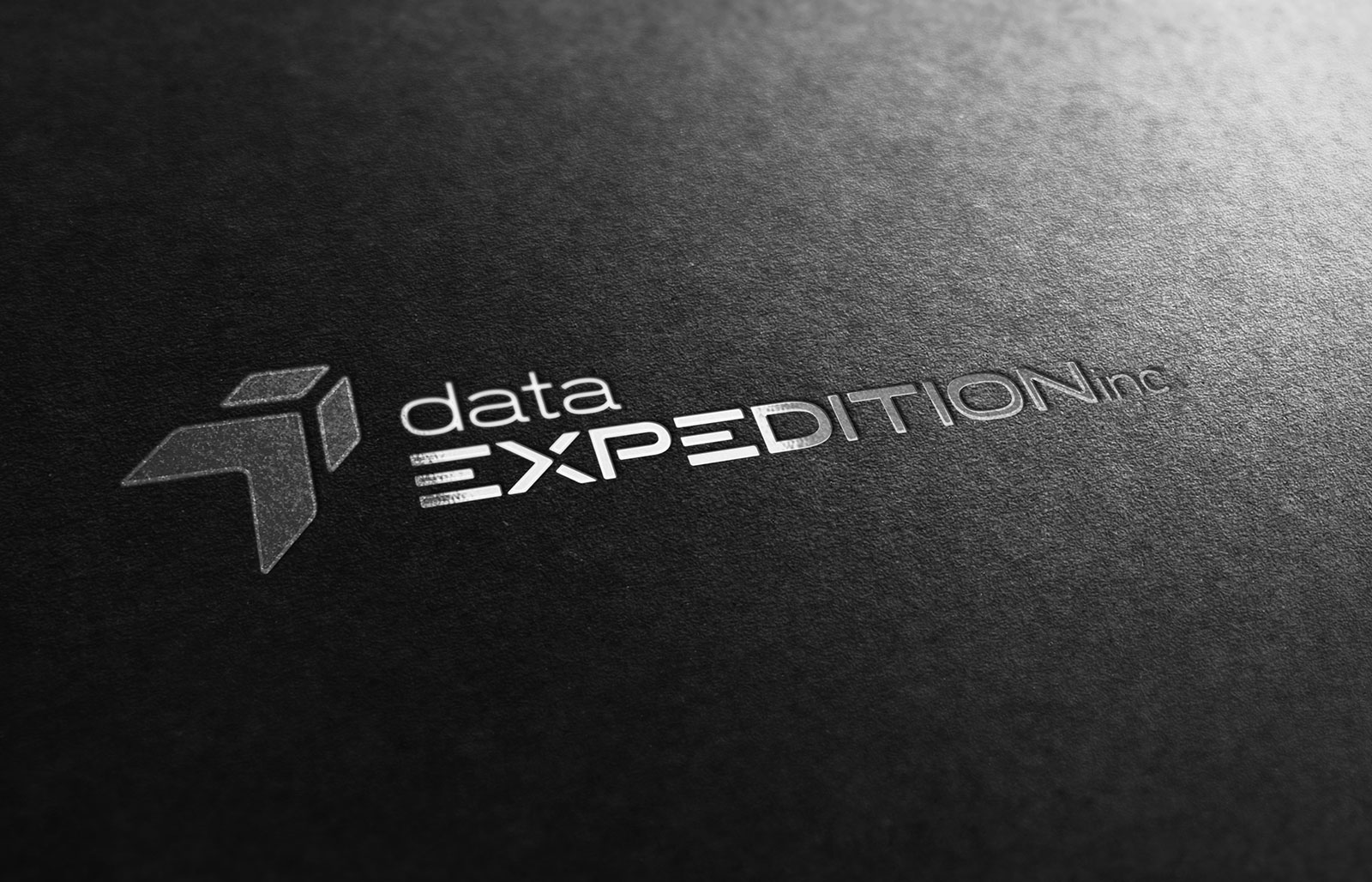 Data Expedition - Logo Design - Foil Stamp Data Expedition - Logo Design - Foil Stamp
